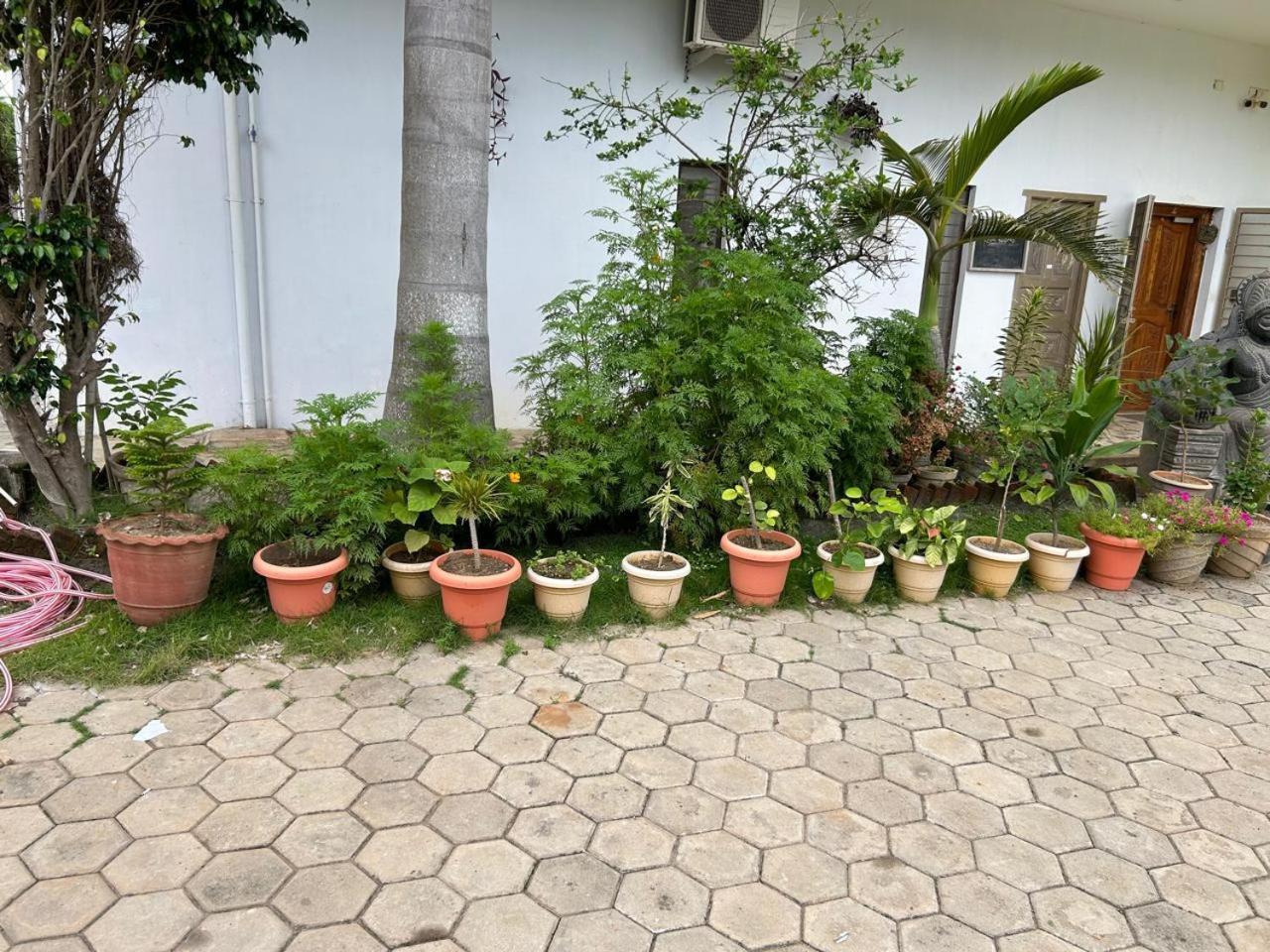 Blissful Haven Art House - Near Entrance To Auroville Exterior photo
